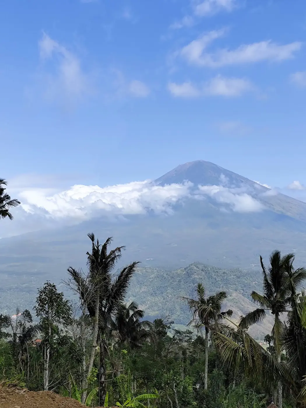 Mount Agung view from Lahangan Sweet framed by palm trees