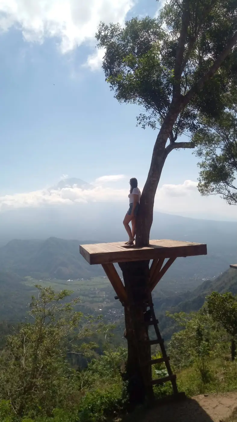Tree platform photo spot at Lahangan Sweet