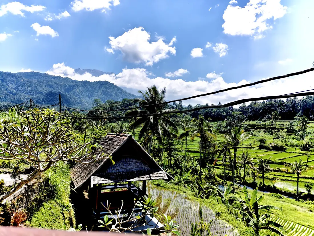 Sidemen rice terraces with Mount Agung rising behind the valley