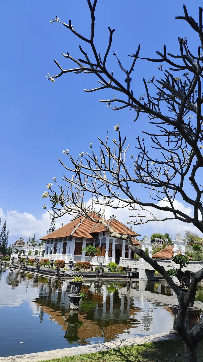 Frangipani tree over the pond at Taman Ujung Water Palace